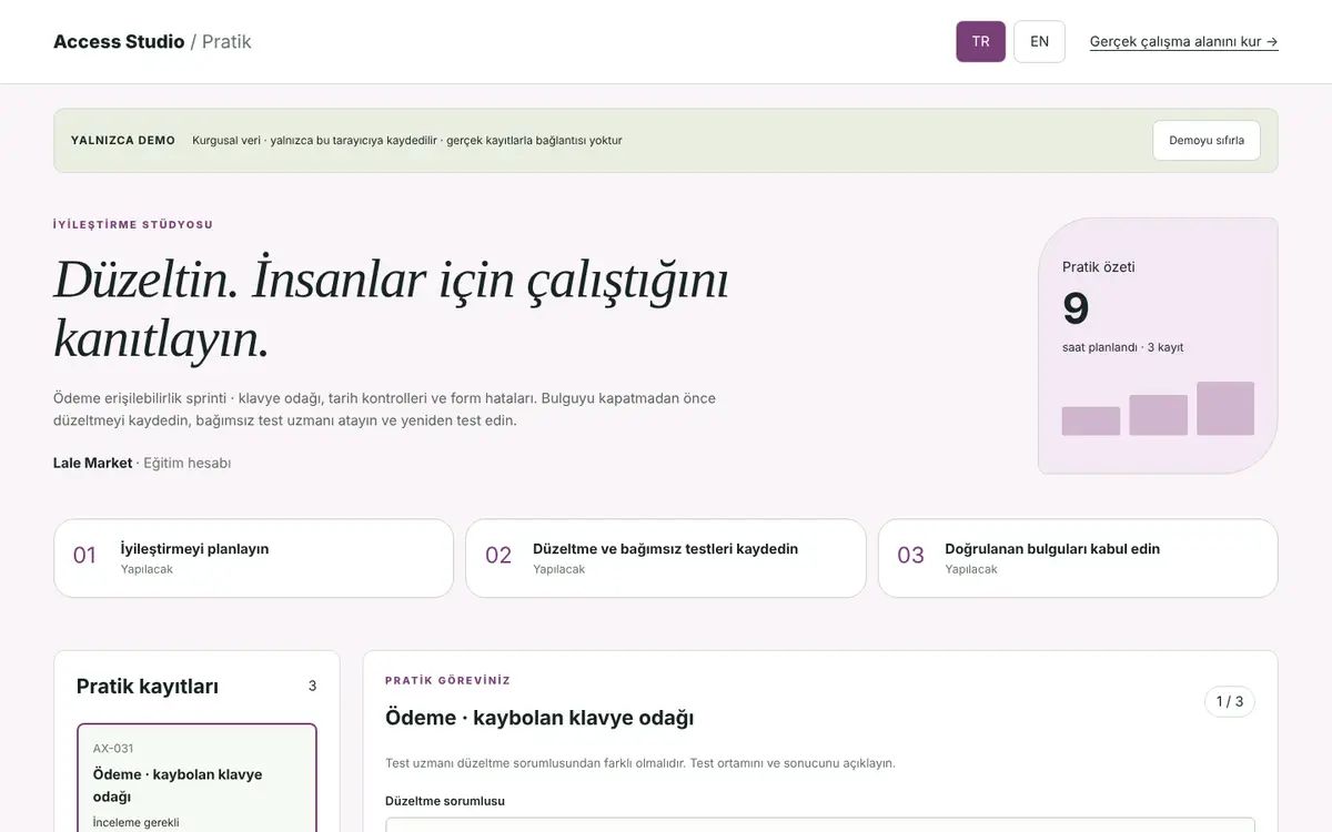 Access Studio etkileşimli demosu, kurgusal veriyle